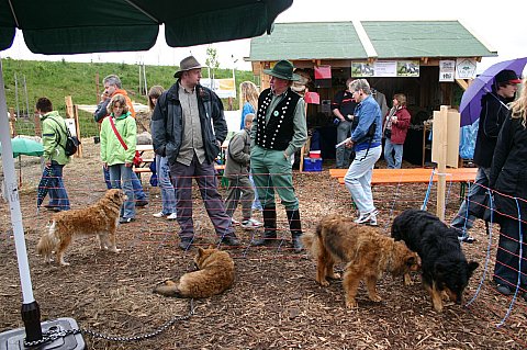 Hunde, Foto: C. Simantke