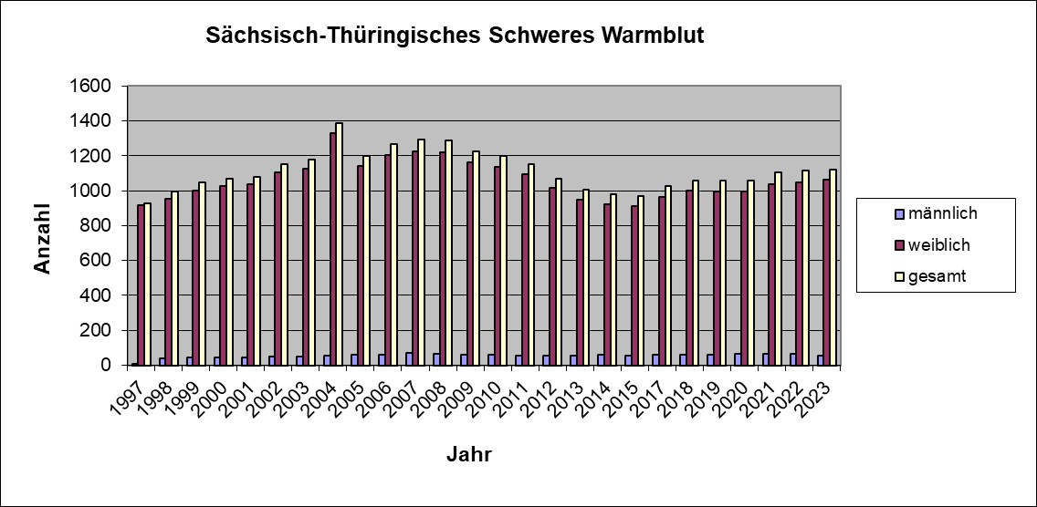 Sachsisch Thuringisches Schweres Warmblut 2023