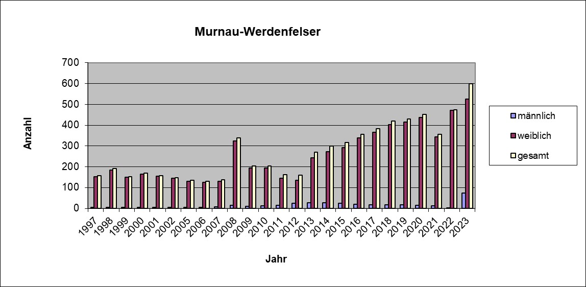 Murnau Werdenfelser 2023