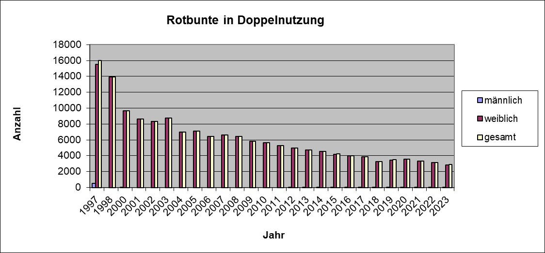 Rotbunte DN 2023