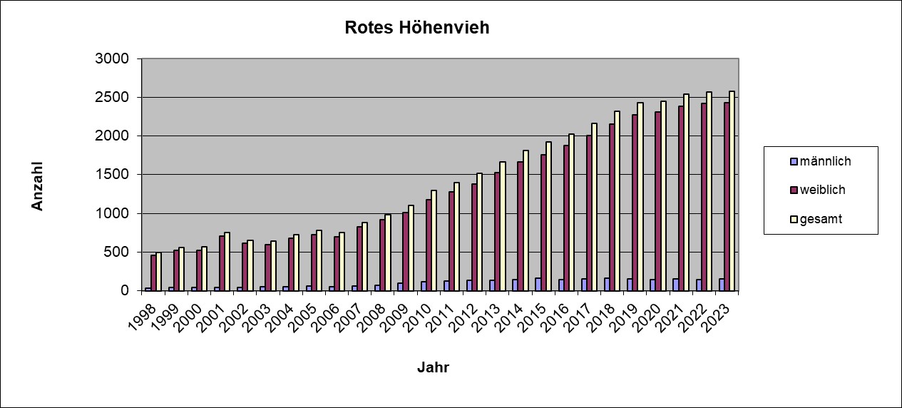 Rotes Hohenvieh 2023