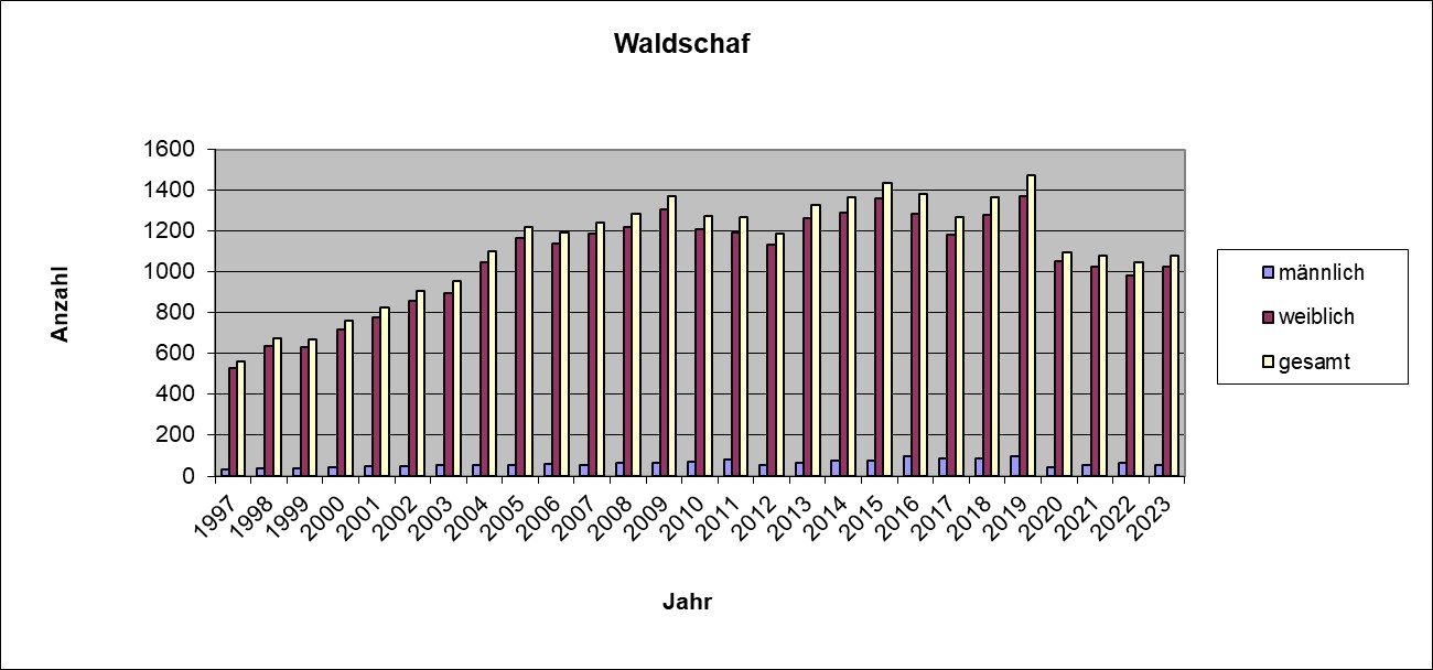 Waldschaf 23