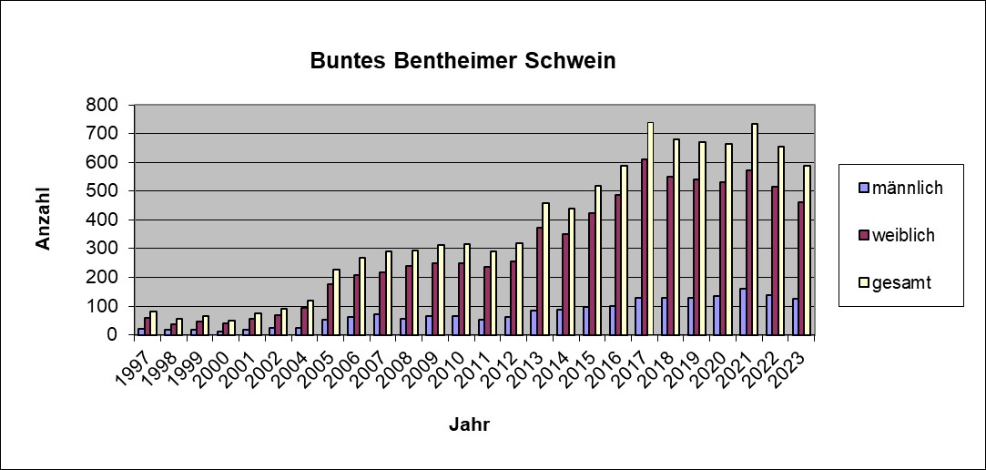 Buntes Bentheimer 23